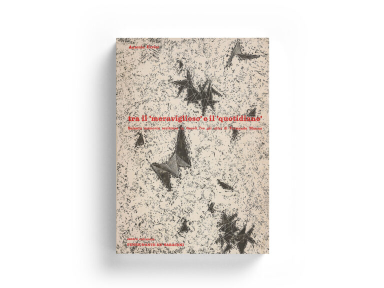 Copertina Tra il meraviglioso e il quotidiano